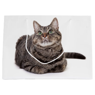 Sacola Para Presentes Grande Cinza Tabby Cat