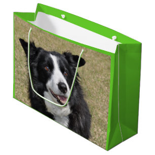 Sacola Para Presentes Grande Collie de fronteira