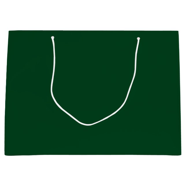 Sacola Para Presentes Grande Cor Sólida Verde (Frente)