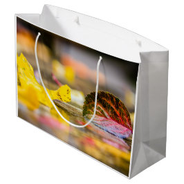 Sacola Para Presentes Grande Cores de queda