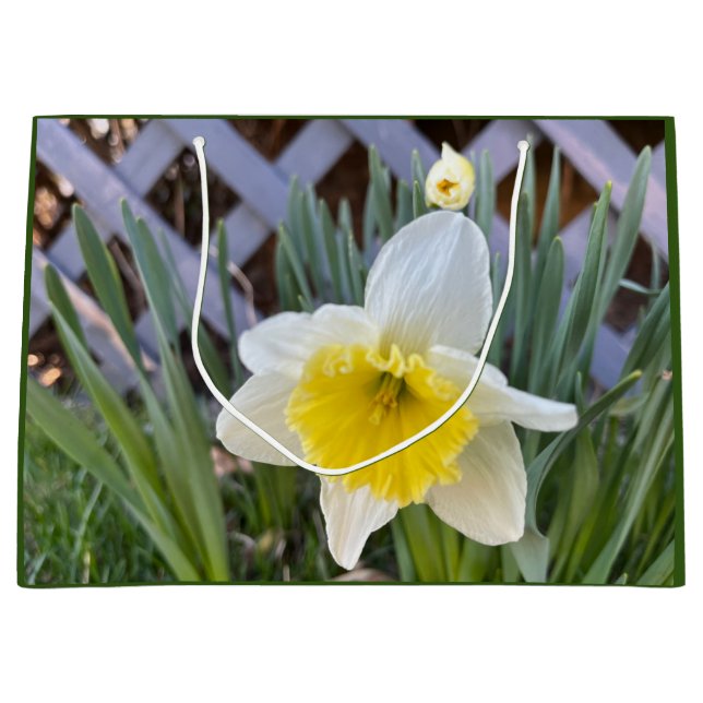 Sacola Para Presentes Grande Daffodils Amarelos (Frente)
