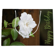 Designer de Rosa de Jardim Branco