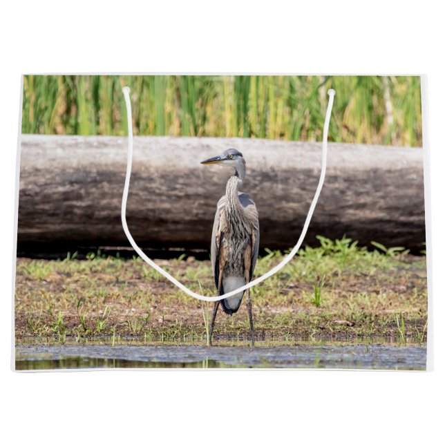 Sacola Para Presentes Grande Excelente Blue Heron no lago Champlain (Frente)