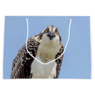 Sacola Para Presentes Grande Fechamento de um Osprey Juvenil