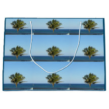 FÉRIAS DA FLÓRIDA feliz