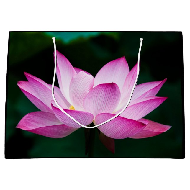 Sacola Para Presentes Grande Flor de Lotus Rosa (Frente)