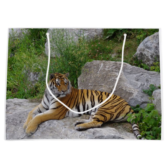 Sacola Para Presentes Grande Foto de retrato de um tigre siberiano (Frente)