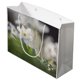 Sacola Para Presentes Grande Foto Windflower Nature