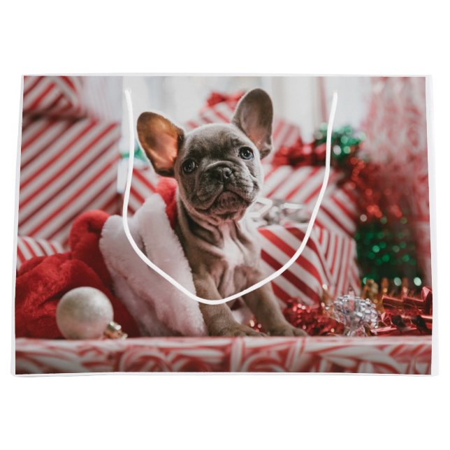 Sacola Para Presentes Grande French Bulldog in Christmas Hat (Frente)