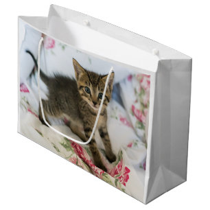Sacola Para Presentes Grande Gatinho Gatinho Gelado, Surpreso