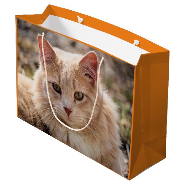 Sacola Para Presentes Grande Gato (Verso inclinado)