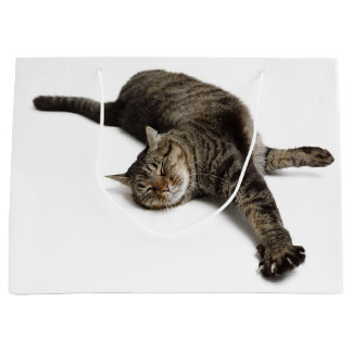 Sacola Para Presentes Grande Gato preguiçoso estressando