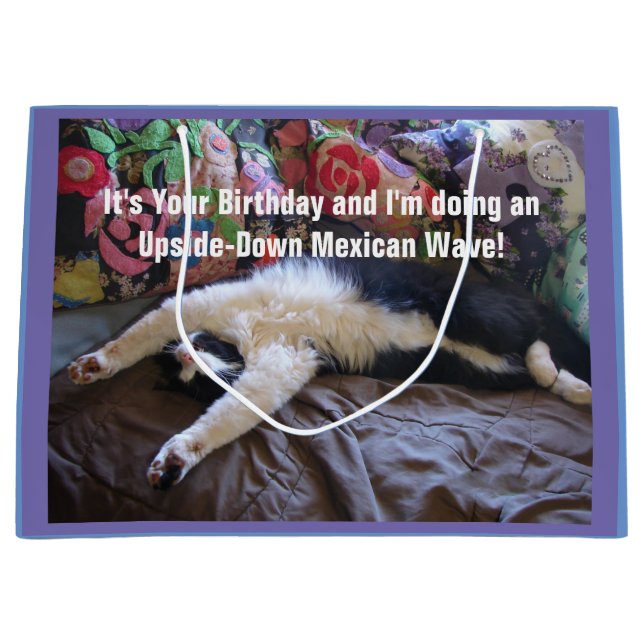 Sacola Para Presentes Grande Gatos mexicanos de Onda dotados de bonitos e engra (Frente)