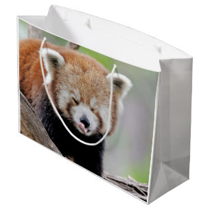 Sacola Para Presentes Grande Gift Bag Photo red panda , animais 0272.