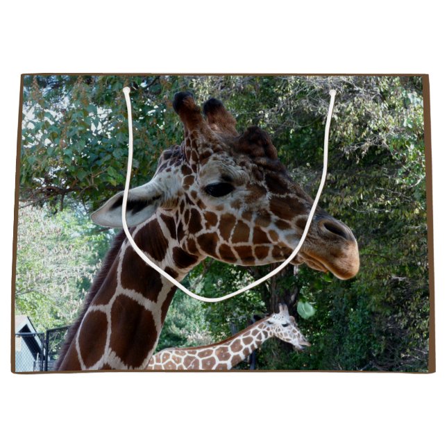 Sacola Para Presentes Grande Giraffe Gift Bag (Frente)
