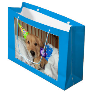 Sacola Para Presentes Grande Golden retriever sonolento no aniversário dos