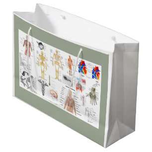 Sacola Para Presentes Grande Gráficos de Anatomia Humana