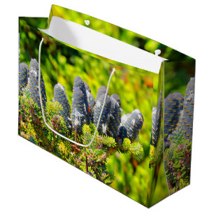 Sacola Para Presentes Grande Grandes Cones Azul-Coreanos