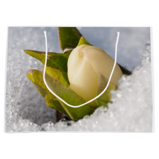 Sacola Para Presentes Grande Hellebore crescendo através da neve,