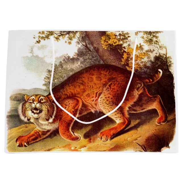 Sacola Para Presentes Grande impressão de lince do século XIX (Frente)
