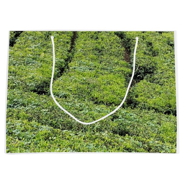 Sacola Para Presentes Grande jardins de chá de Munnar em  (Frente)