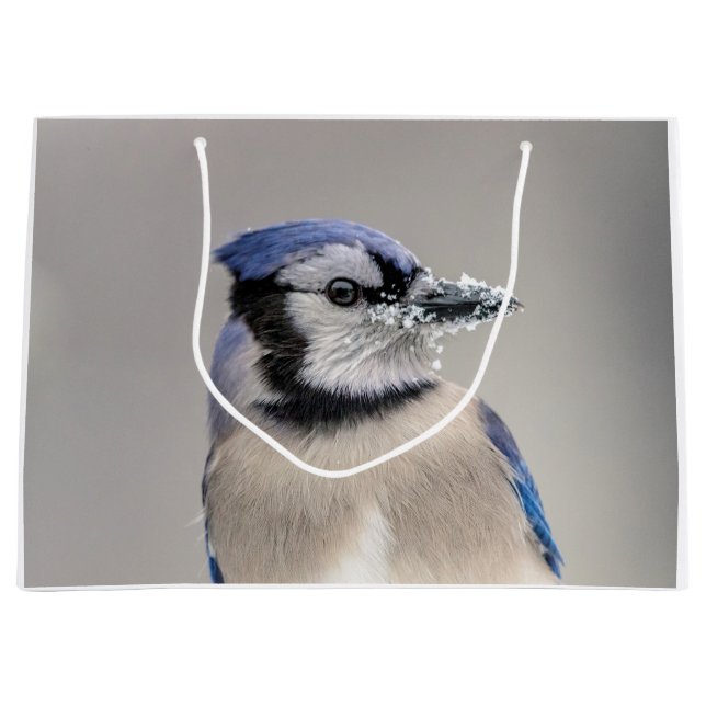Sacola Para Presentes Grande Jay azul com neve no seu bico (Frente)
