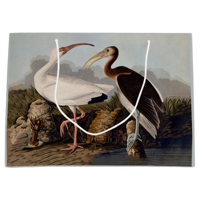 Sacola Para Presentes Grande John James Audubon White Ibis Bird Print Classic (Frente)