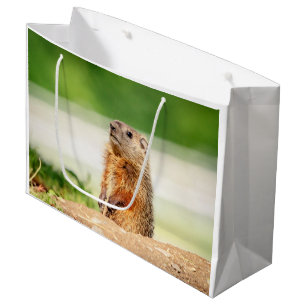 Sacola Para Presentes Grande Jovem Groundhog