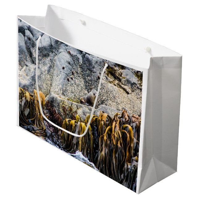 Sacola Para Presentes Grande Jovem Selo De Peles Na Rocha (Frente inclinada)