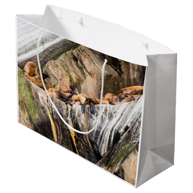 Sacola Para Presentes Grande Leões Do Mar Deitados Nas Rochas (Verso inclinado)