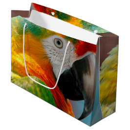 Sacola Para Presentes Grande Macaw bonito