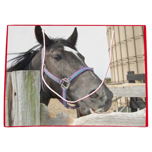 Sacola Para Presentes Grande Mastigação de Cavalo Bonito numa Cerca (Frente)