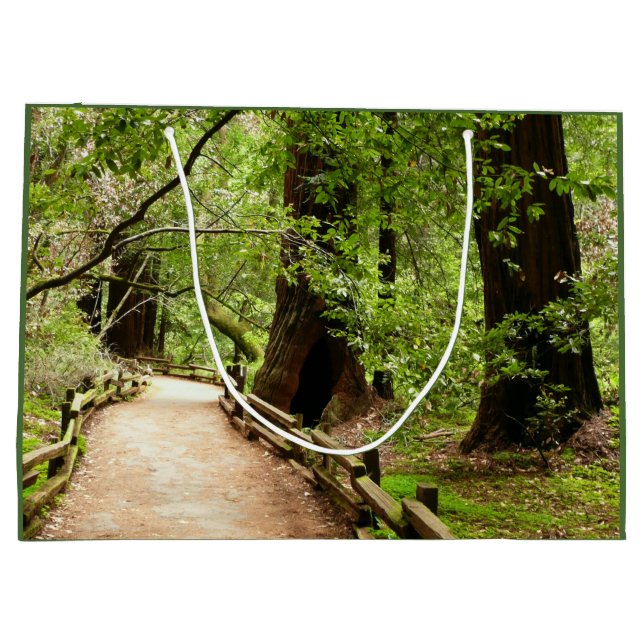 Sacola Para Presentes Grande Muir Woods Path II - Fotografia natural (Verso)