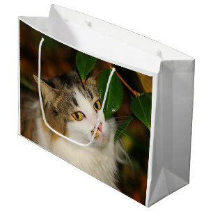 Sacola Para Presentes Grande O Gato e a Camellia
