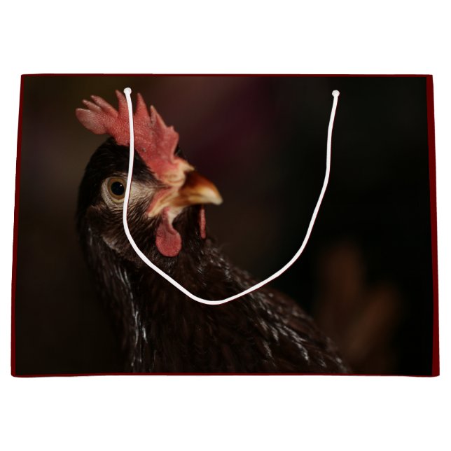 Sacola Para Presentes Grande O quê? (Frente)