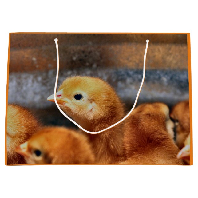 Sacola Para Presentes Grande Olhar (Frente)