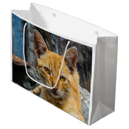 Sacola Para Presentes Grande Olhos de ouro