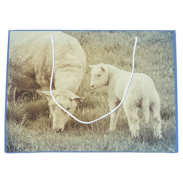 Sacola Para Presentes Grande Ovelhas de borrego (Frente)