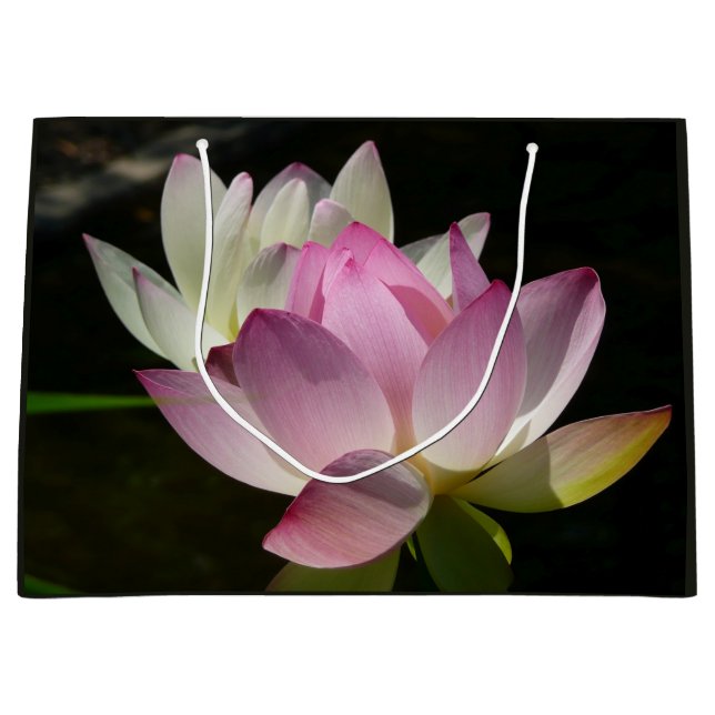 Sacola Para Presentes Grande Par de Flores de Lotus II (Frente)