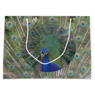 Sacola Para Presentes Grande Peacock Gift Bag
