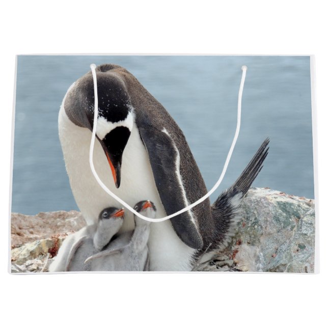 Sacola Para Presentes Grande Pinguim (Frente)