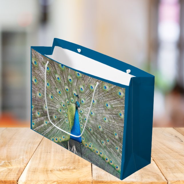 Sacola Para Presentes Grande Plumagem de Peste Azul (In Situ)