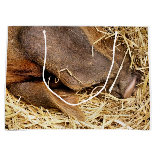 SACOLA PARA PRESENTES GRANDE PORCOS (Frente)