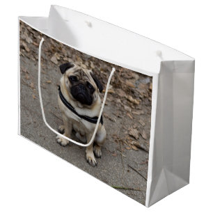 Sacola Para Presentes Grande Pug Muito Grave