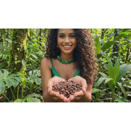 SACOLA PARA PRESENTES GRANDE RAINFOREST LOVE 