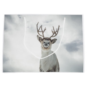 Sacola Para Presentes Grande Reindeer Nature Photo