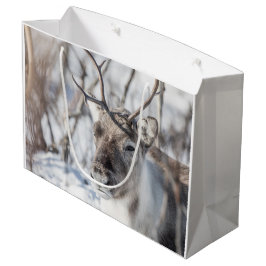 Sacola Para Presentes Grande Reindeer Nature Photo