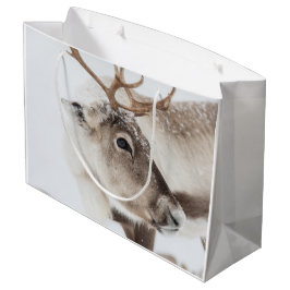 Sacola Para Presentes Grande Reindeer Nature Photo