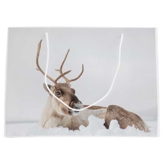 Sacola Para Presentes Grande Reindeer Nature Photo (Frente)