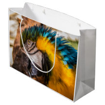 Retrato de arara azul e amarela